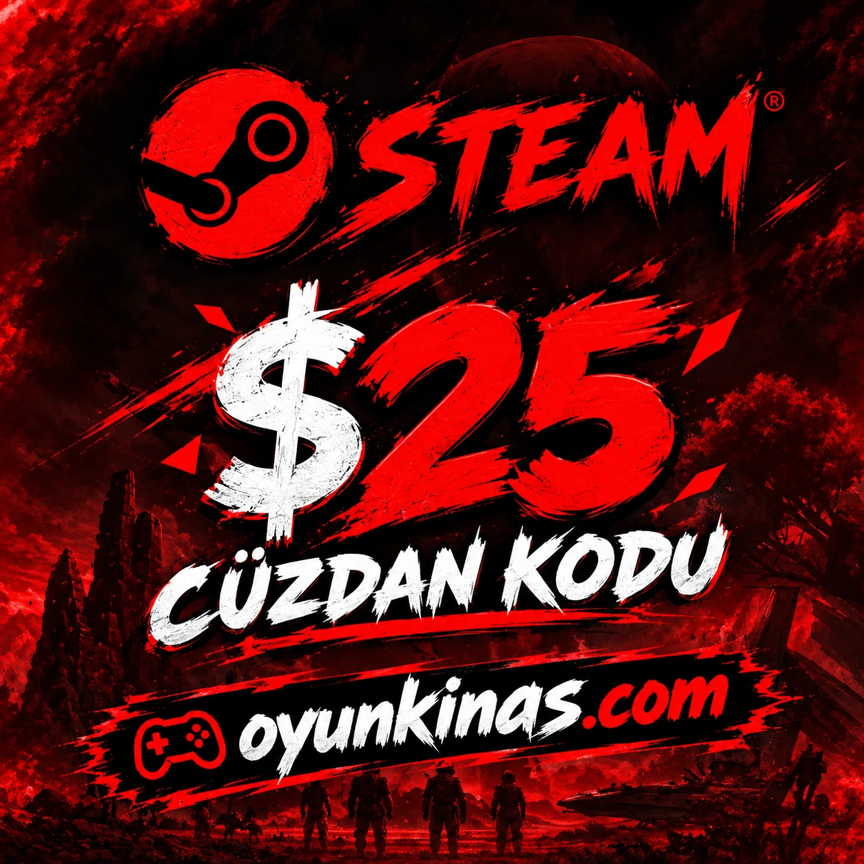 Steam 25 Dolar Cüzdan Kodu (TR-Global) - ( Sürpriz Paket )